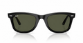Free Wayfarer Sunglasses